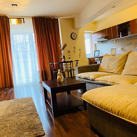 Eclipse Apartment Free Parking Cluj-Napoca Buitenkant foto