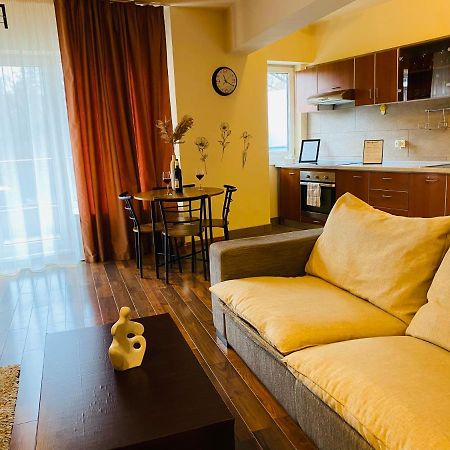 Eclipse Apartment Free Parking Cluj-Napoca Buitenkant foto
