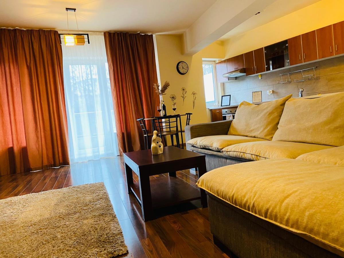 Eclipse Apartment Free Parking Cluj-Napoca Buitenkant foto