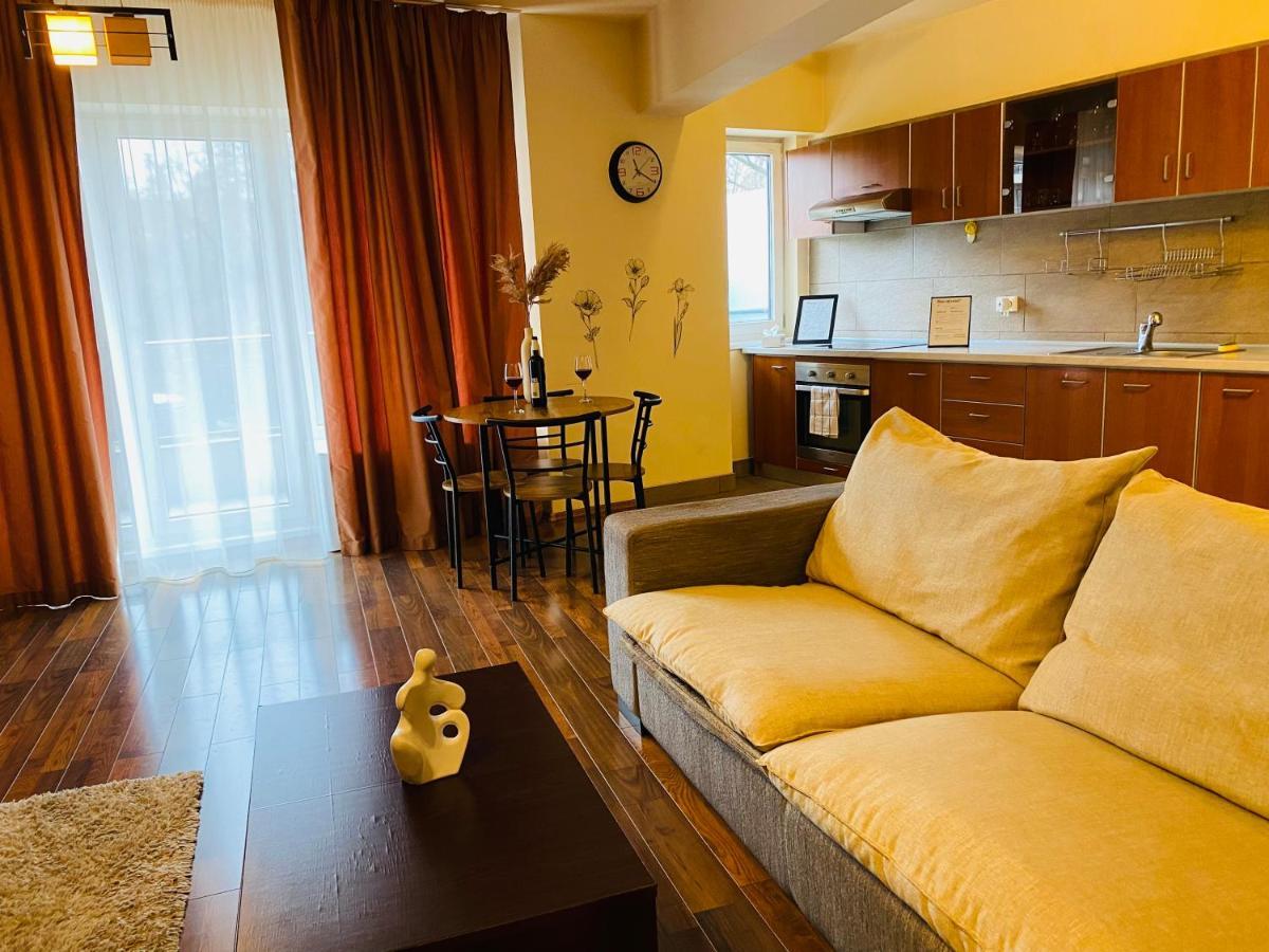 Eclipse Apartment Free Parking Cluj-Napoca Buitenkant foto